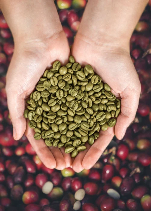Photo coffee product PT ARIZKA TRADE VENTURE 4